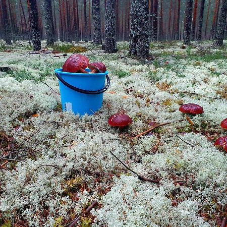 Mysig timmerstuga vid sjön Björken Grangärde Exteriör bild