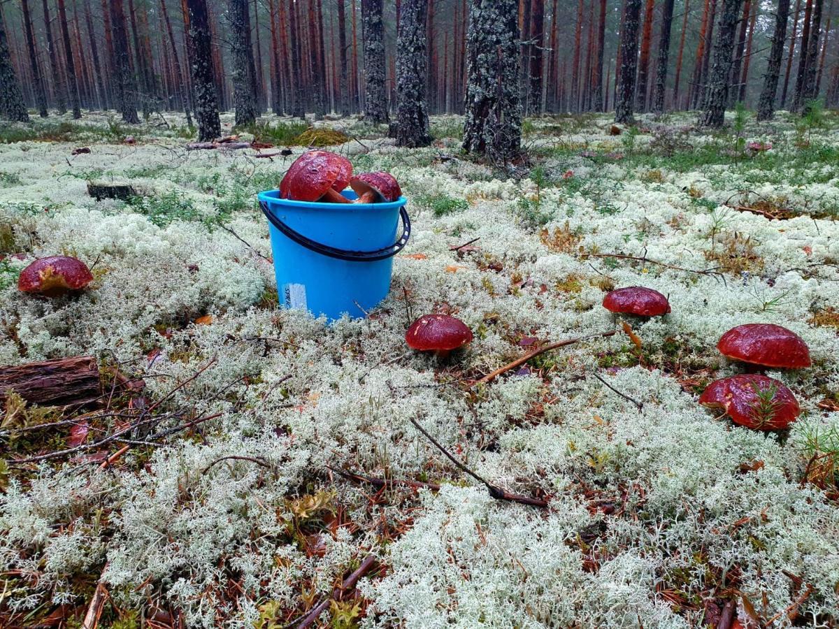Mysig timmerstuga vid sjön Björken Grangärde Exteriör bild